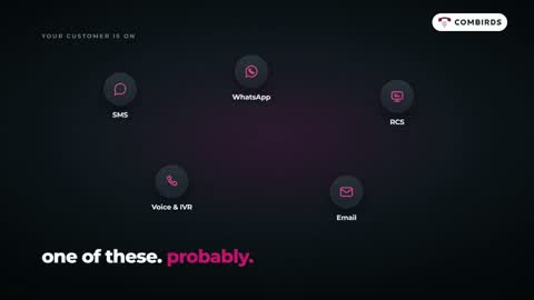 Combirds &middot; What the product does, in half a minute