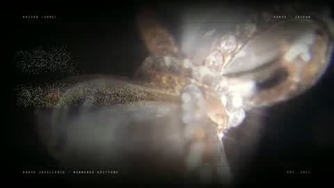 Maison Lormel &middot; Light, gold dust and a held breath